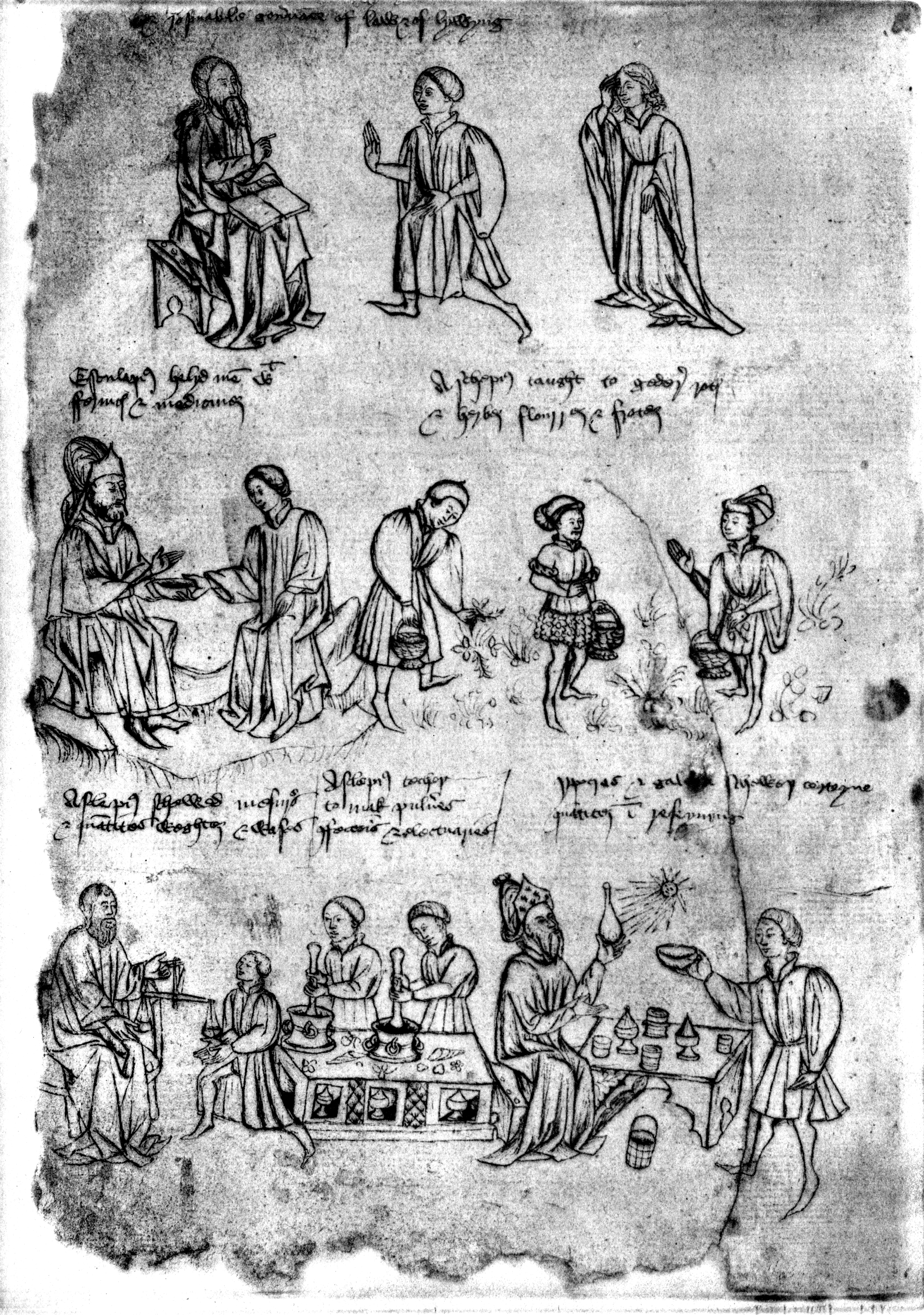 Apothecaries