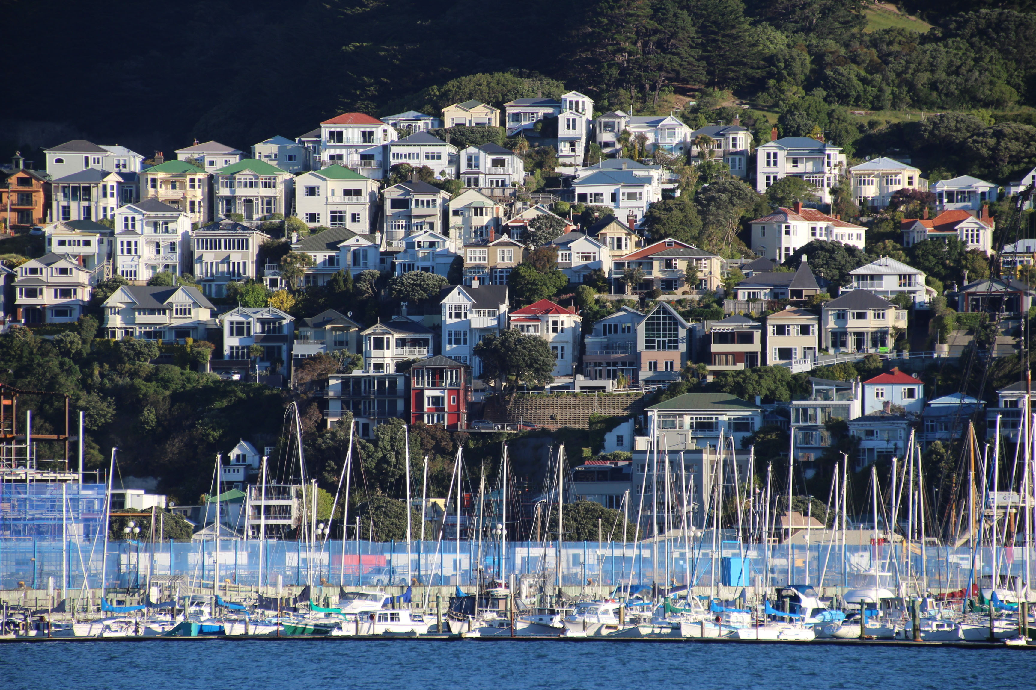 The Wellington Club - New Zealand
