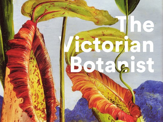 Victorian Botanist Promo