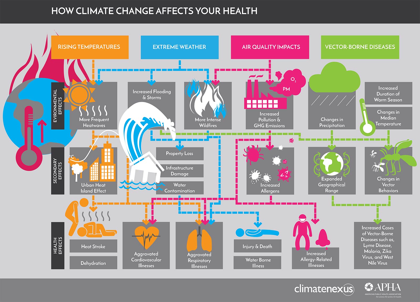 Courtesy of American Public Health Association.