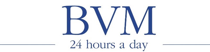 BVM Medical Ltd