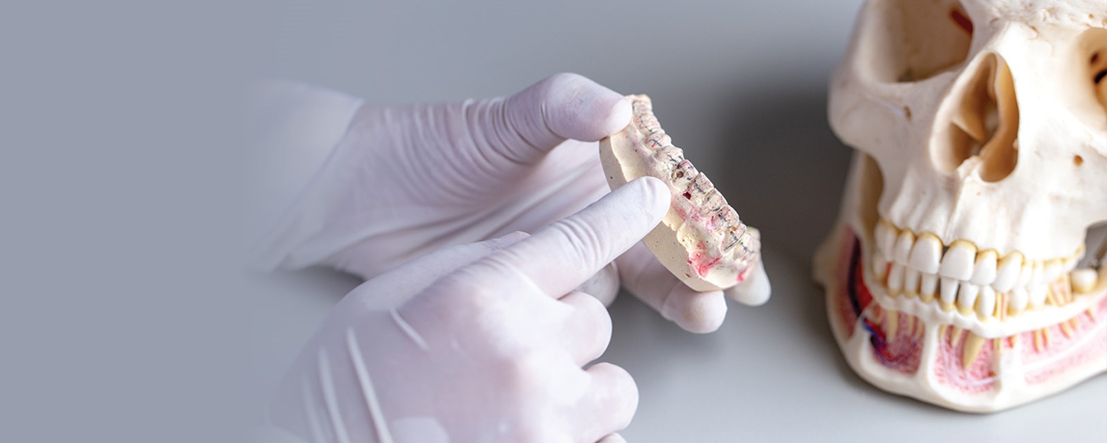 Forensic dentistry: Interesting cases and dental perspectives