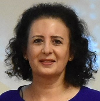 Professor Sumita Verma