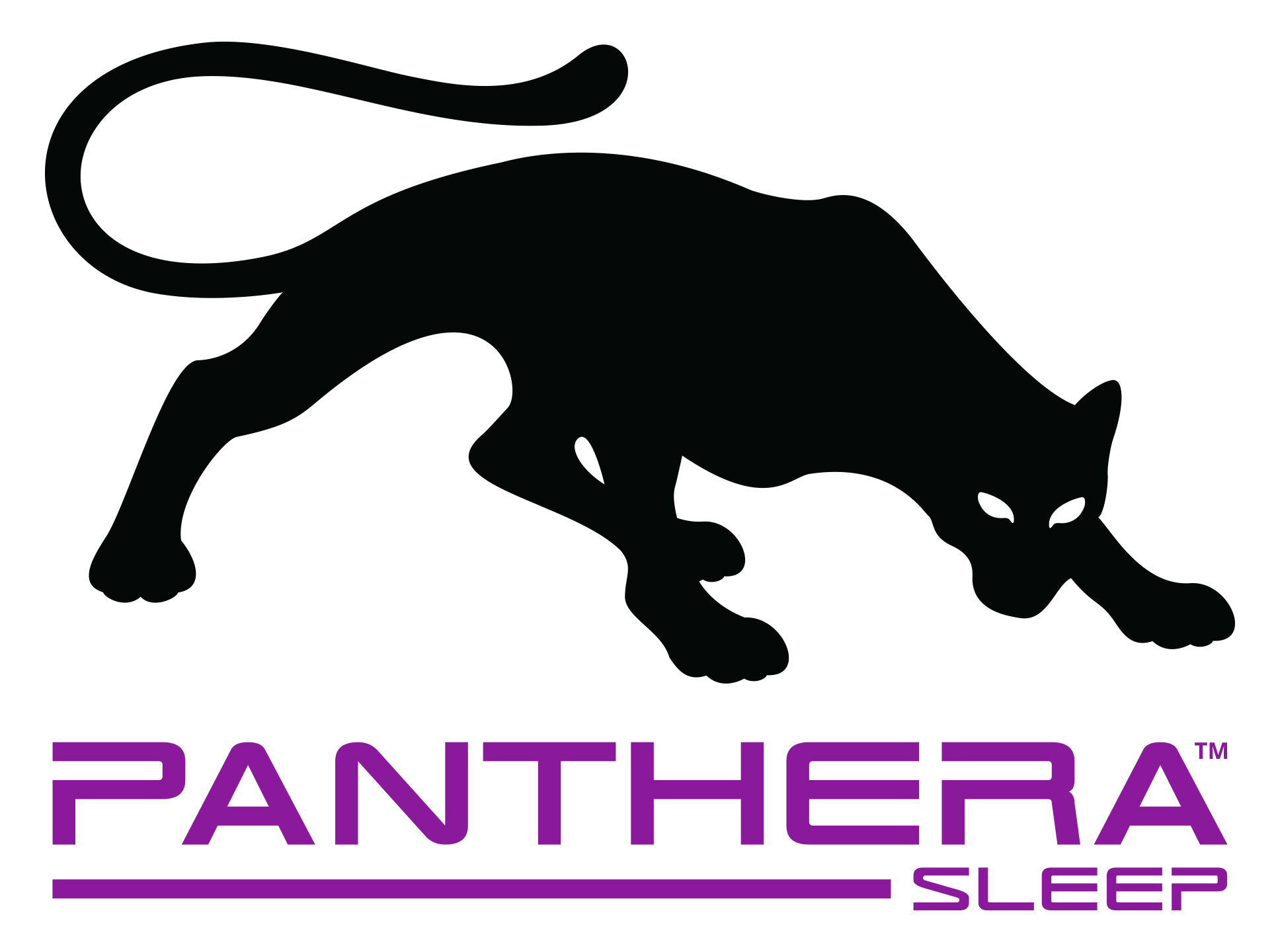 Panthera Sleep