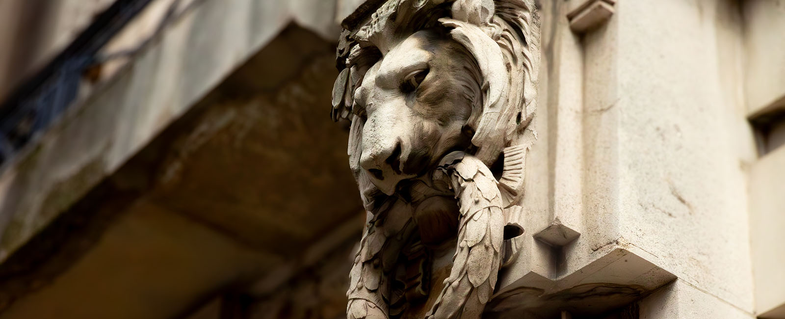 Stone lion - Hero