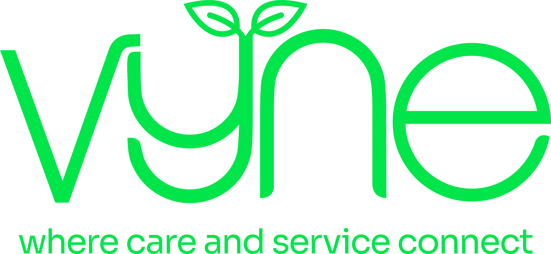 Vyne (Optimum Medical)